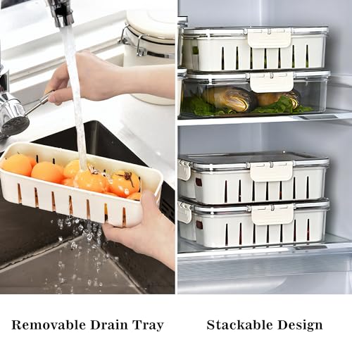 Snack Tray With Divided Lid And Handle - Magnolia Wild SC